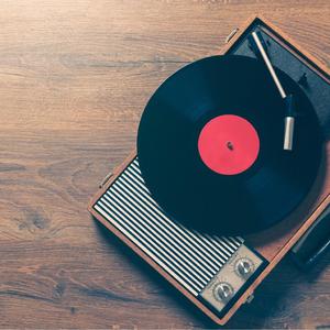 麻豆视频深夜观看
