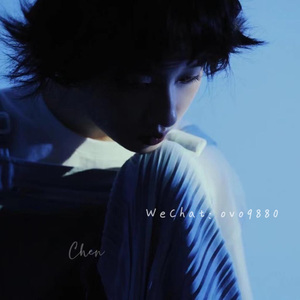 麻豆视频深夜观看
